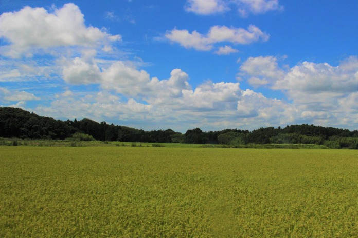 千葉県匝瑳市 風景