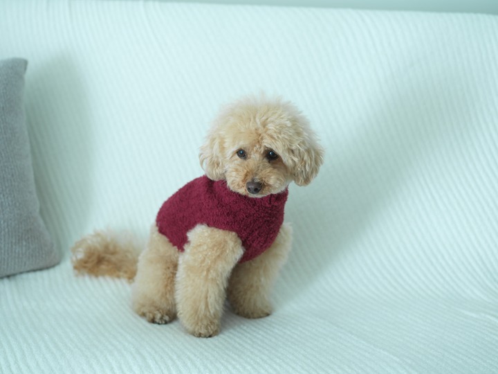 CozyChic® Ribbed Pet Sweater 1