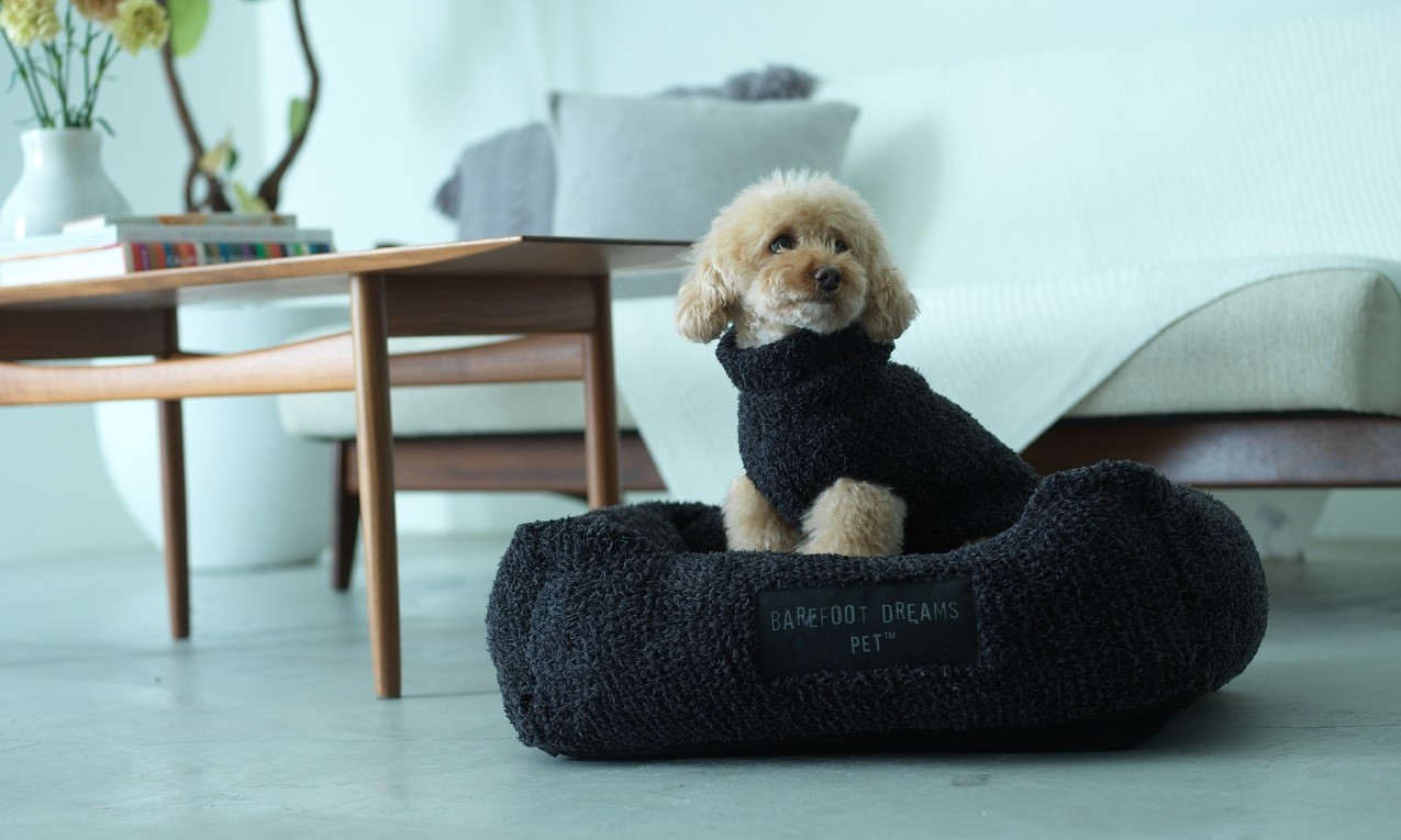 BAREFOOT DREAMSからPet Bed & Ribbed Pet Sweaterが発売！ | News