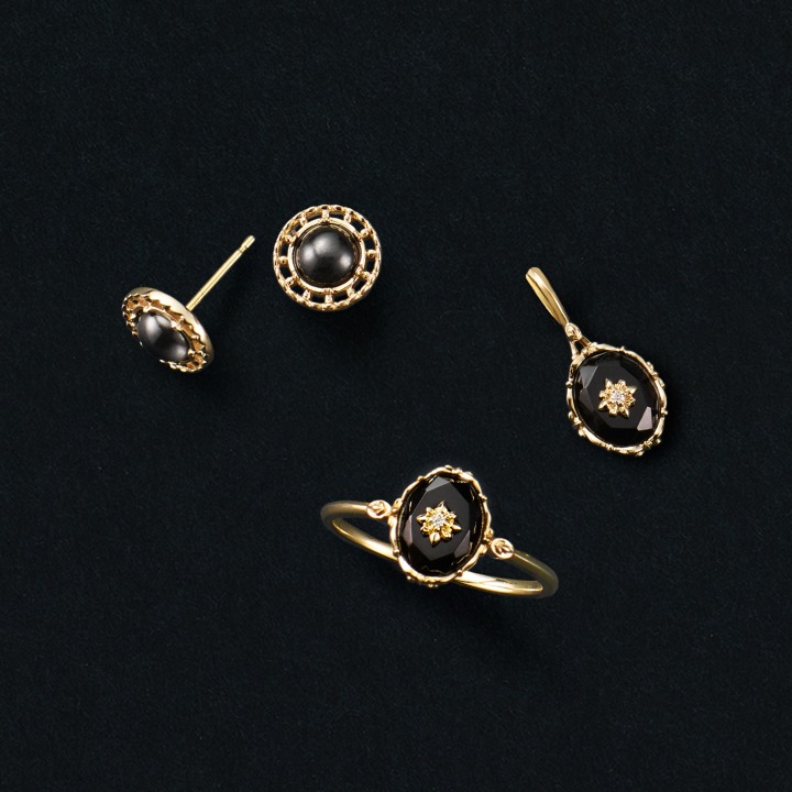 pierced earrings / ring / charm