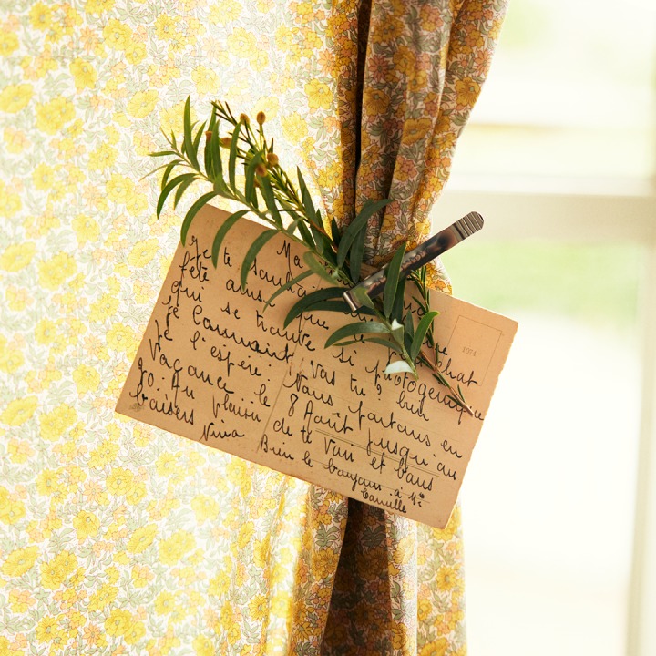 ポストカードと植物をピンで挟んだカーテン