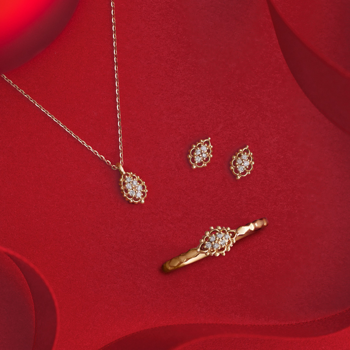 ring necklace 29,700yen, others