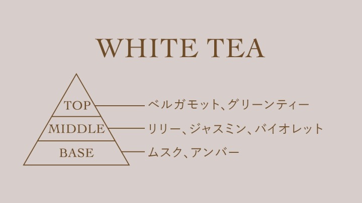 WHITE TEA成分表