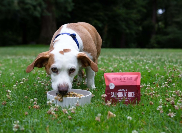 Portland Pet Food Company POP UP