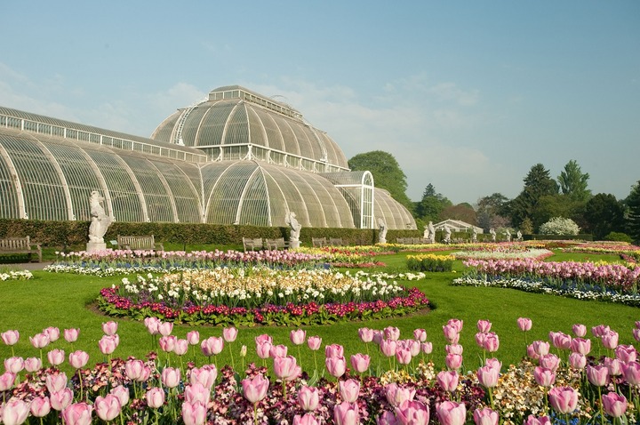 英国王立キュー植物園