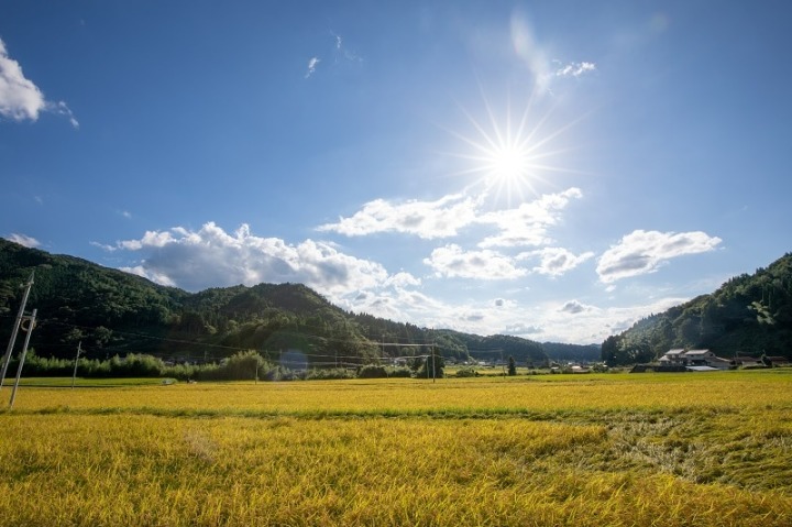 風景写真