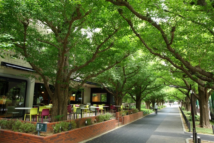 キハチ 青山本店