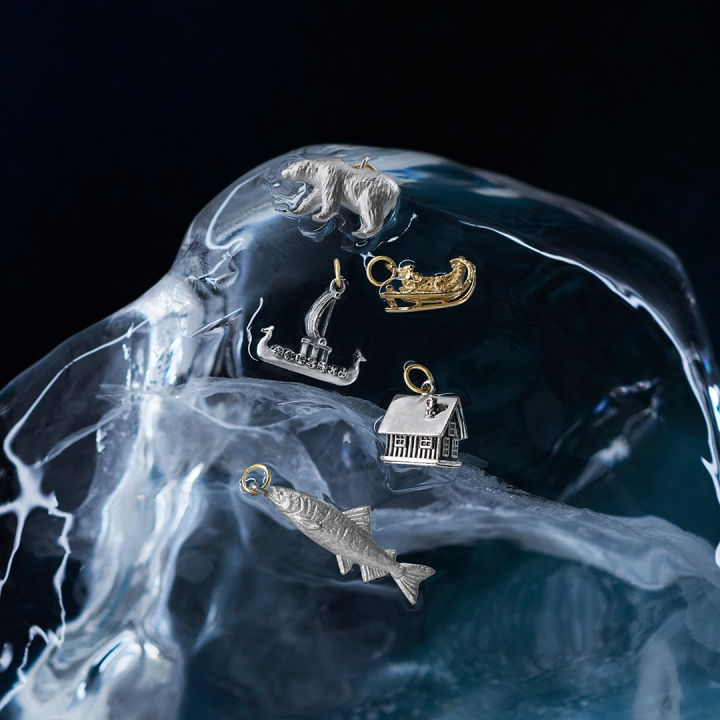 pierced earrings charm 14,300yen～