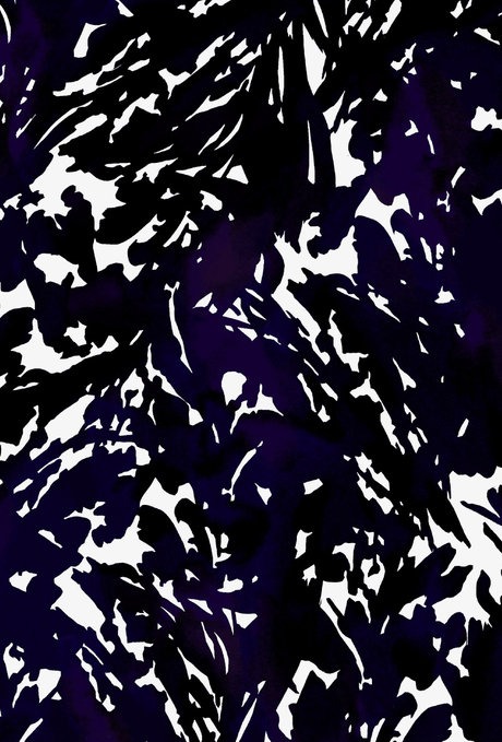 shade of night