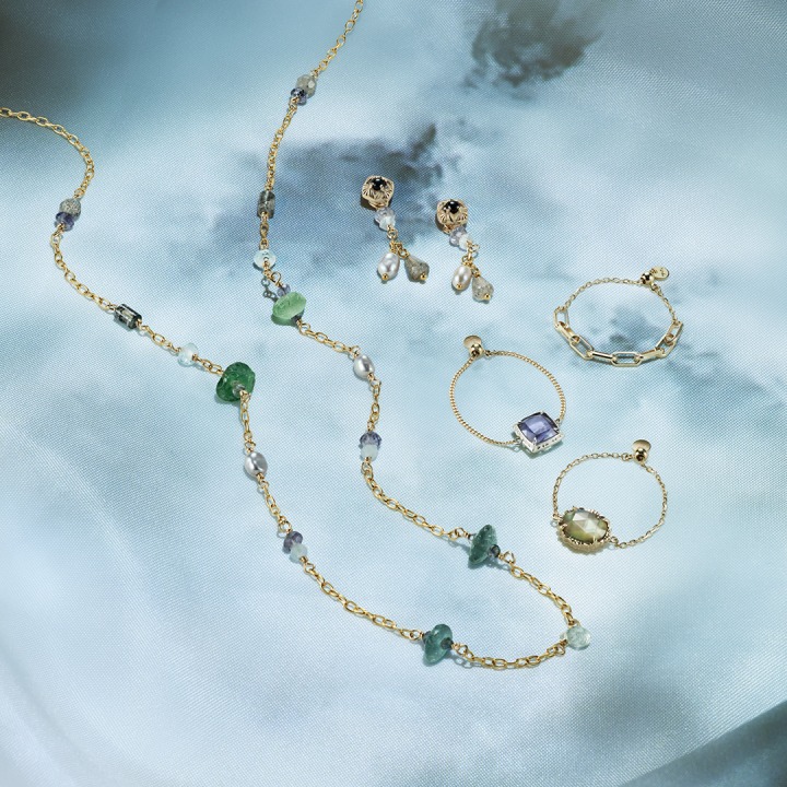 necklace / pierced earrings / charm / ring