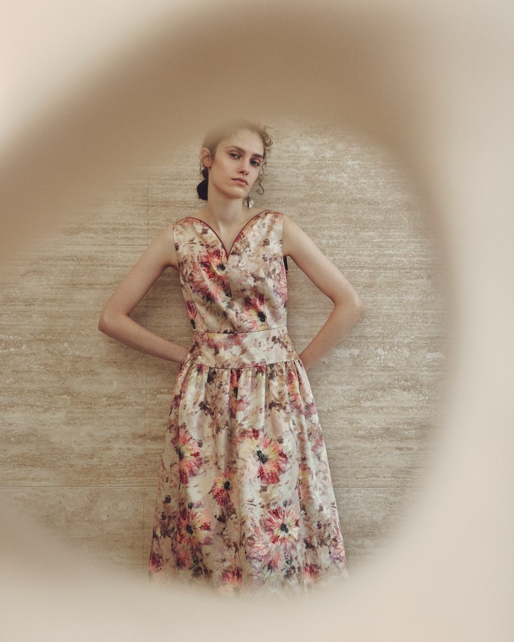 Dress / Earrings