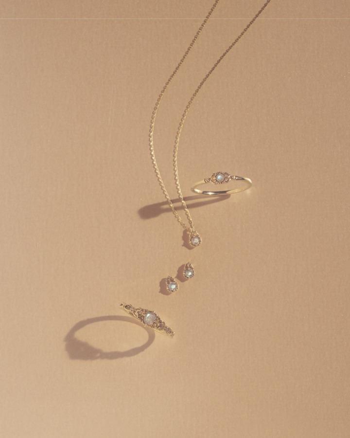 ring / necklace / pierced earrings / ring