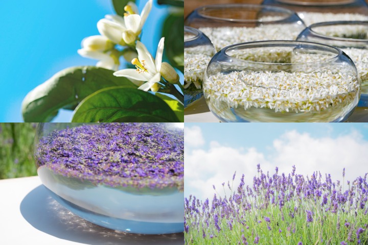 フラワーエッセンス