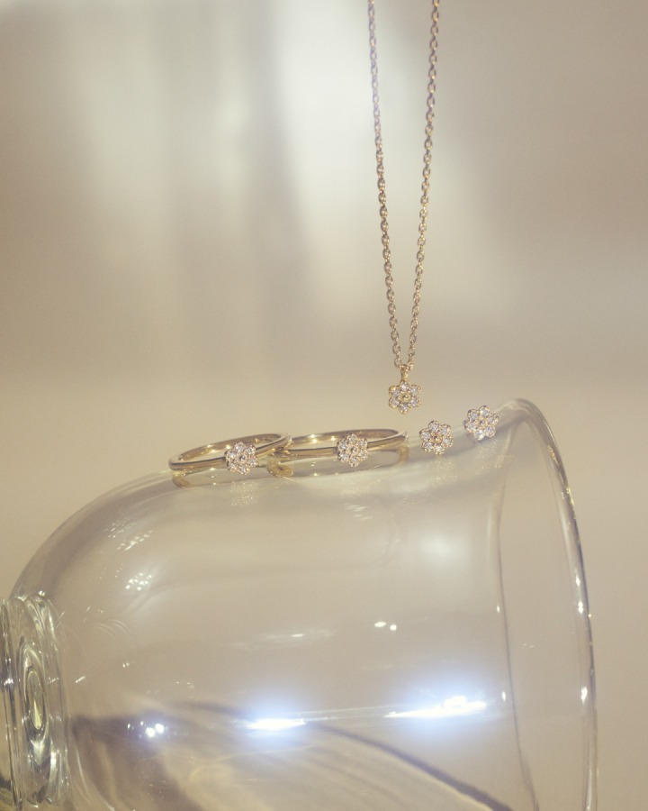 pinky ring, ring, necklace, pierced earrings