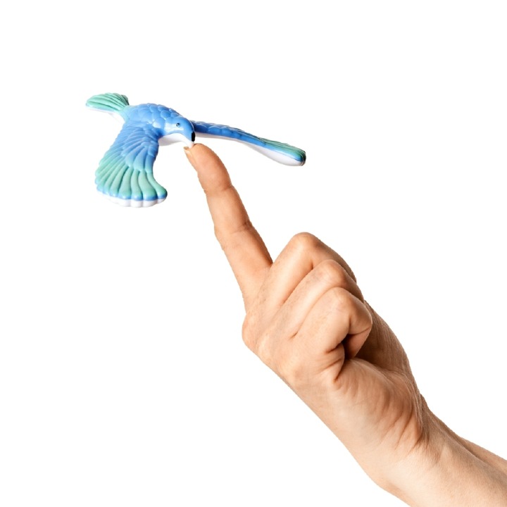 バランスバード