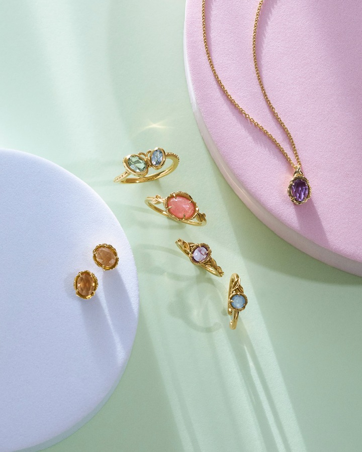 pierced earrings / ring / pinky ring / ear cuff / necklace