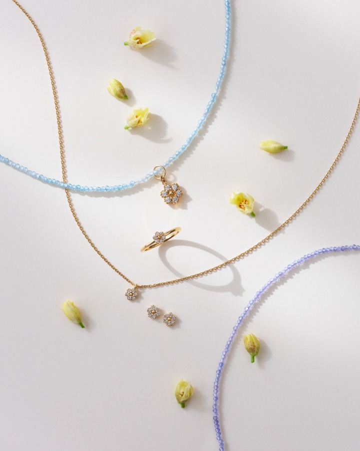 necklace / charm / pierced earrings / pinky ring