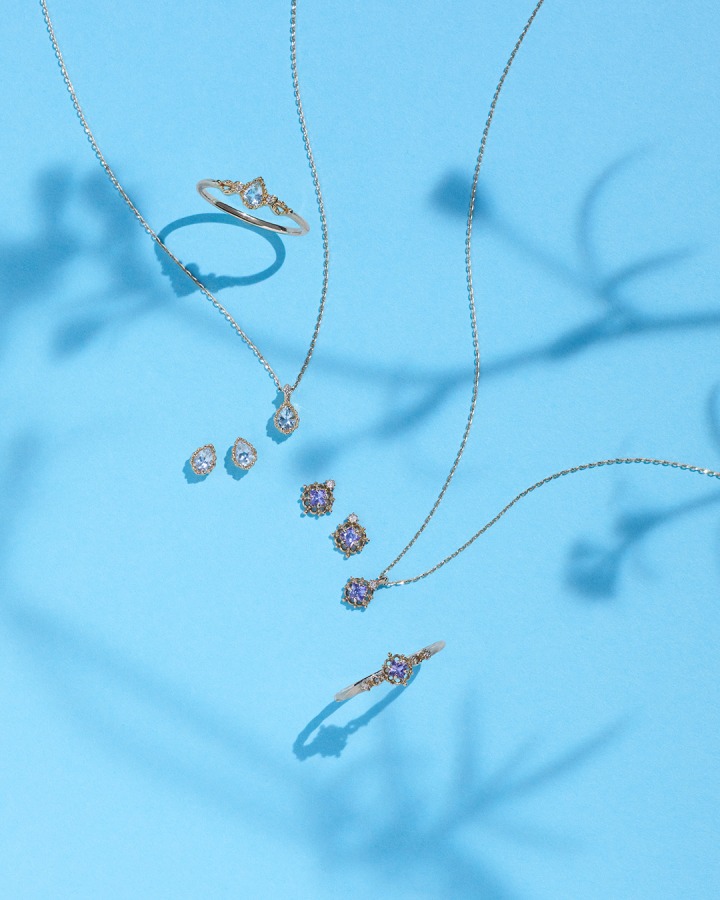 ring / necklace / pierced earrings