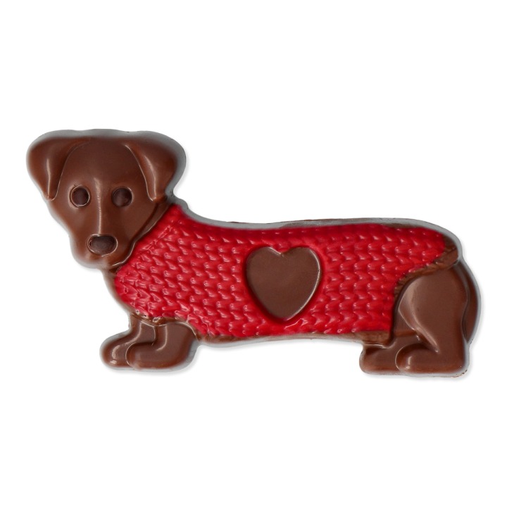 チョコレート（犬）