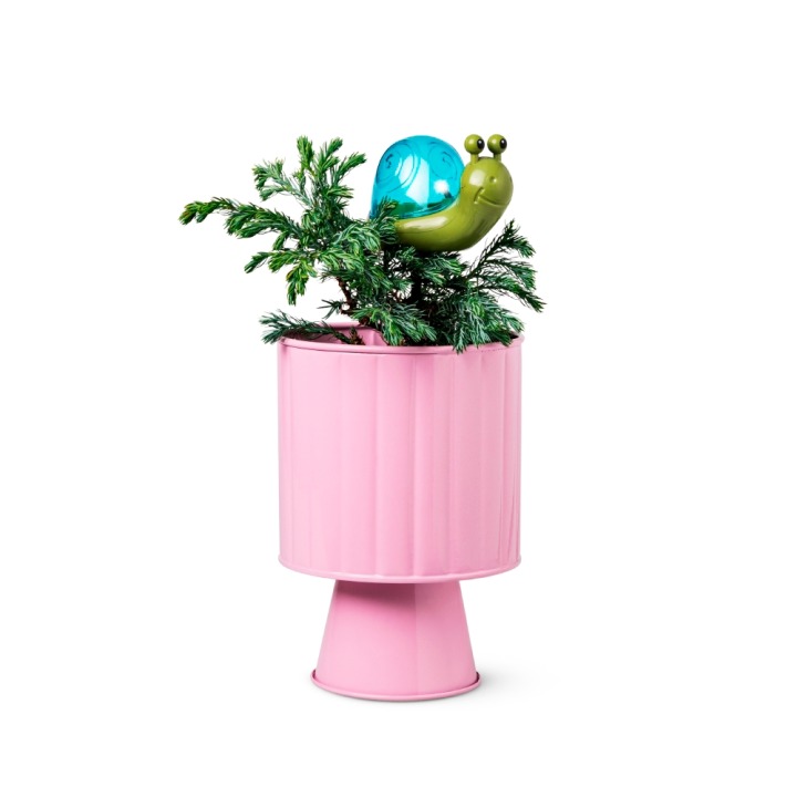 ソーラーライト 550円