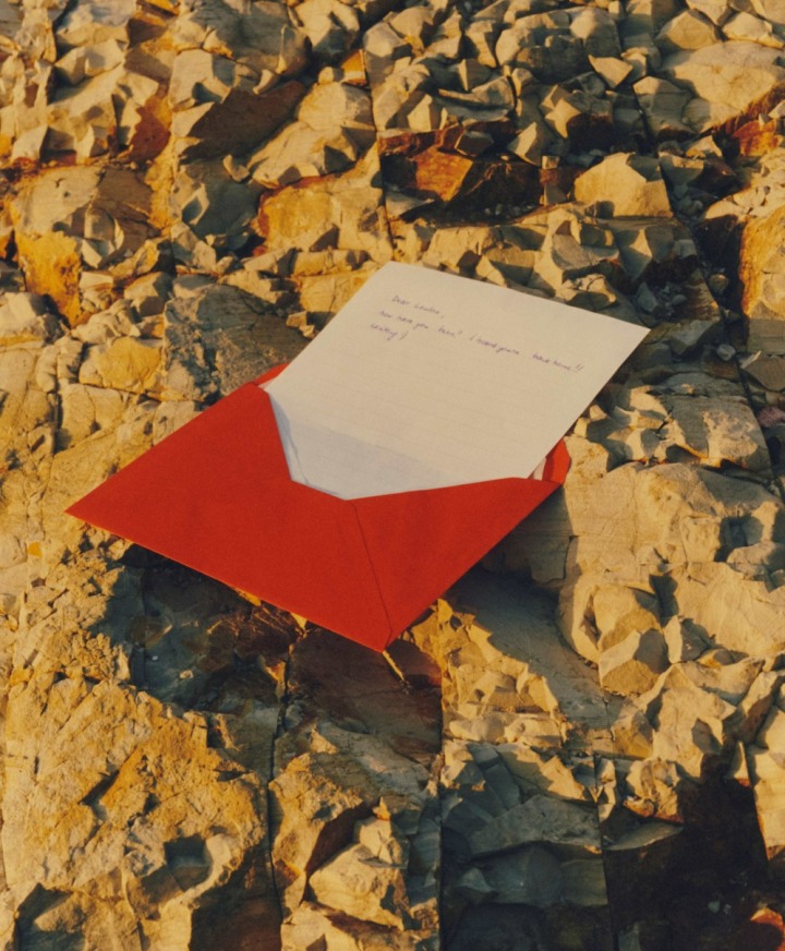 LETTER from the Cinema