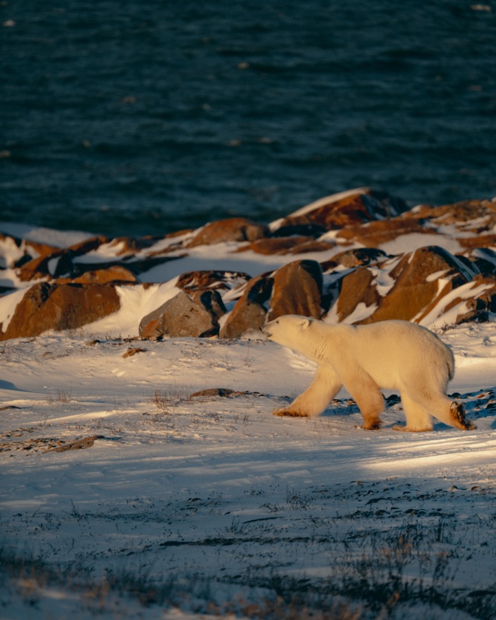 彼らの未来は、この環境にかかっている
