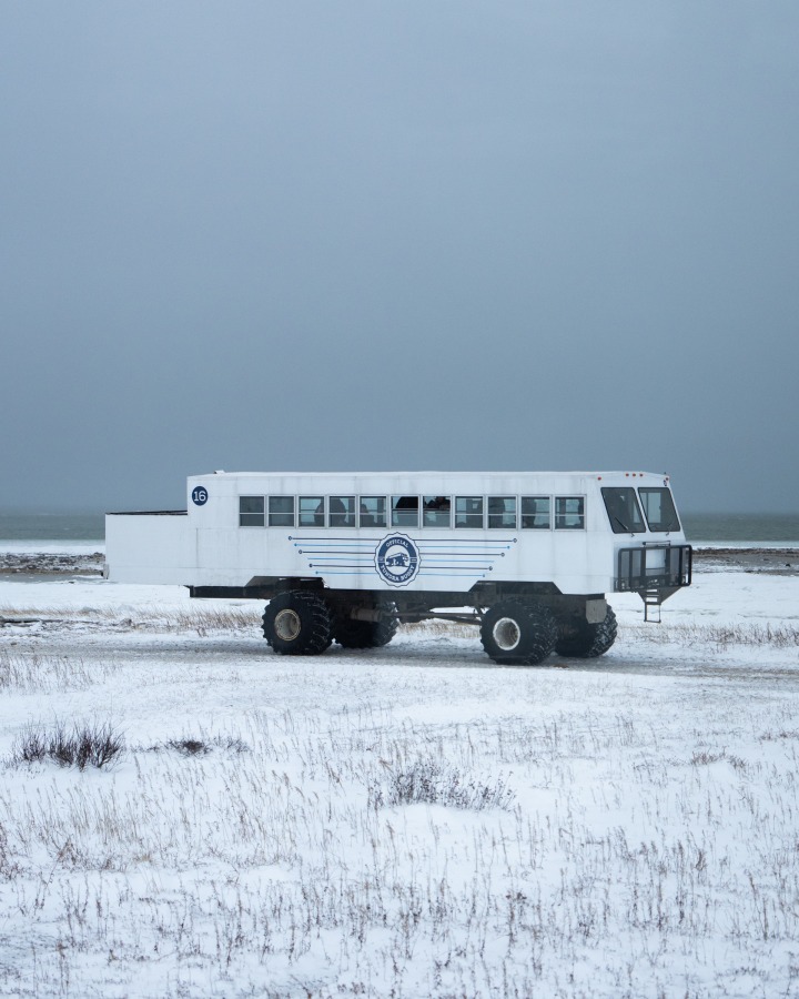 ホッキョクグマの保全に取り組むPBIとの協働