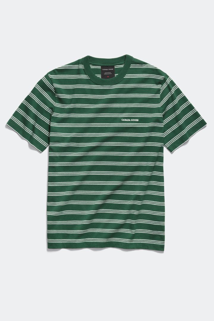 Vantage Striped T-shirt（カラー：Green Talbot Stripe）